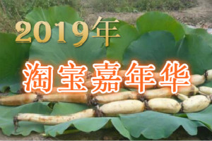 2019淘寶嘉年華[零食行業(yè)分會(huì)場(chǎng)]招商規(guī)則是什么